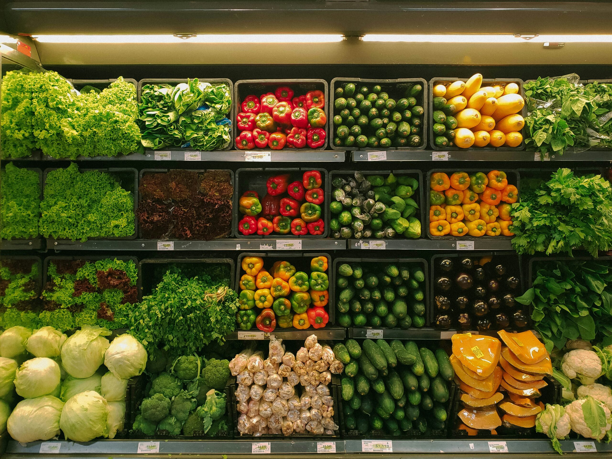 Top 10 Healthy Foods You Should Add to Your Daily Diet